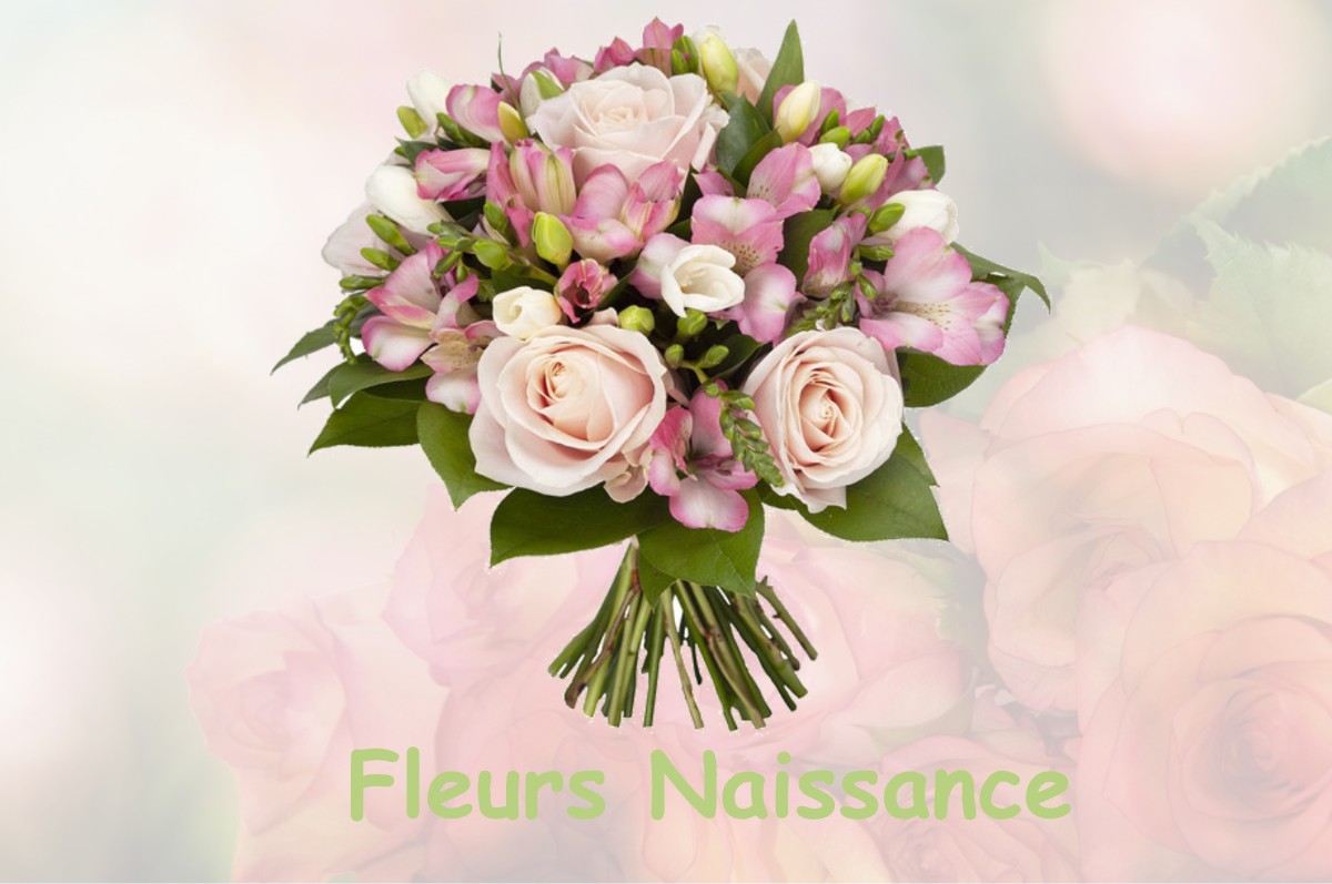 fleurs naissance BOIS-D-AMONT