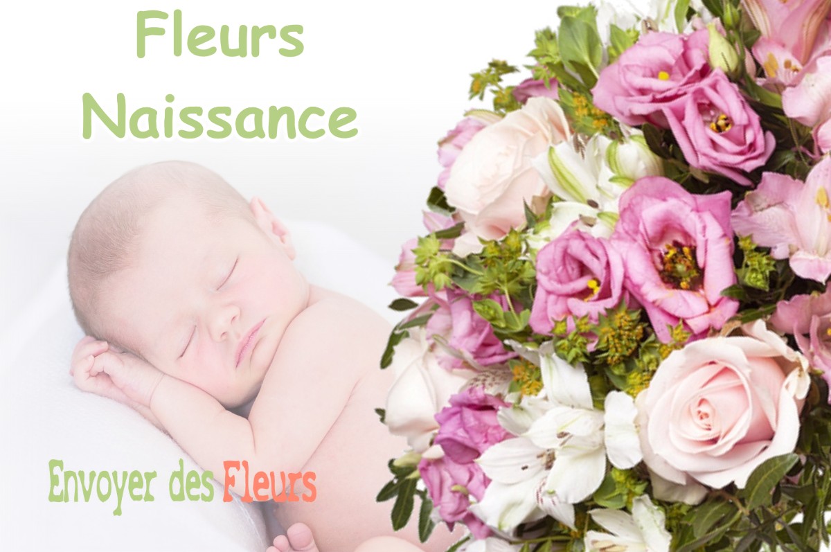 lIVRAISON FLEURS NAISSANCE à BOIS-D-AMONT